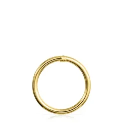 Anilla grande de oro Hold