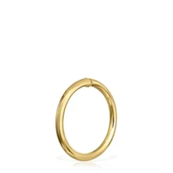Anilla grande de oro Hold