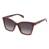 Gafas de sol oso Square Bear burdeos