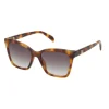 Gafas de sol oso Square Bear havana