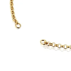 Gargantilla de plata con baño de oro 18kt 42 cm Hold